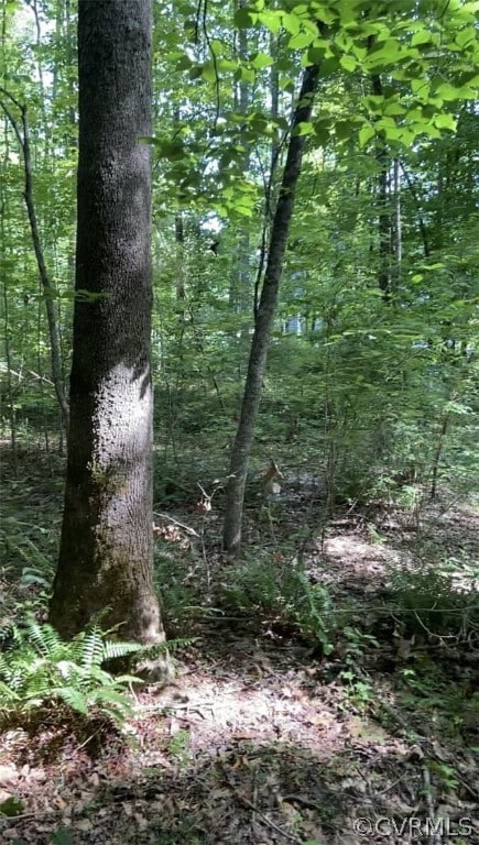 8852 Porto Ct, New Kent, VA 23124 - photo 2