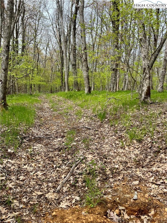 Start of trail into the acreage...great land to st