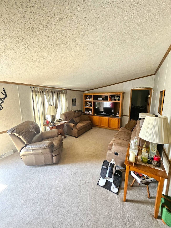 6210 Al Sabo Dr unit W-267, Kalamazoo, MI 49009 - photo 6