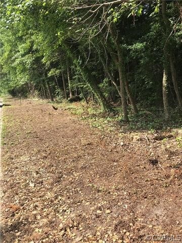 3520 Francis St, Petersburg, VA 23805 - photo 4