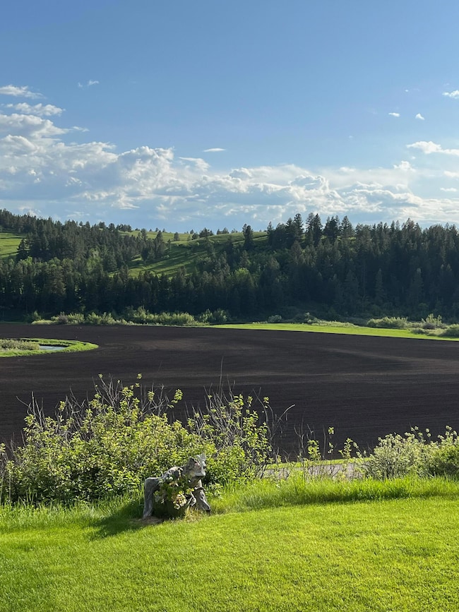 Spring Creek View