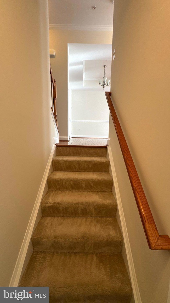 9727 June Flowers Way, Laurel, MD 20723 - photo 3