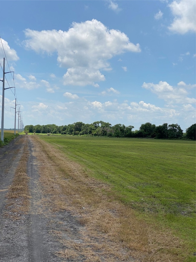 0 County Rd 115 unit 68733437, Nada, TX 77460 - photo 4