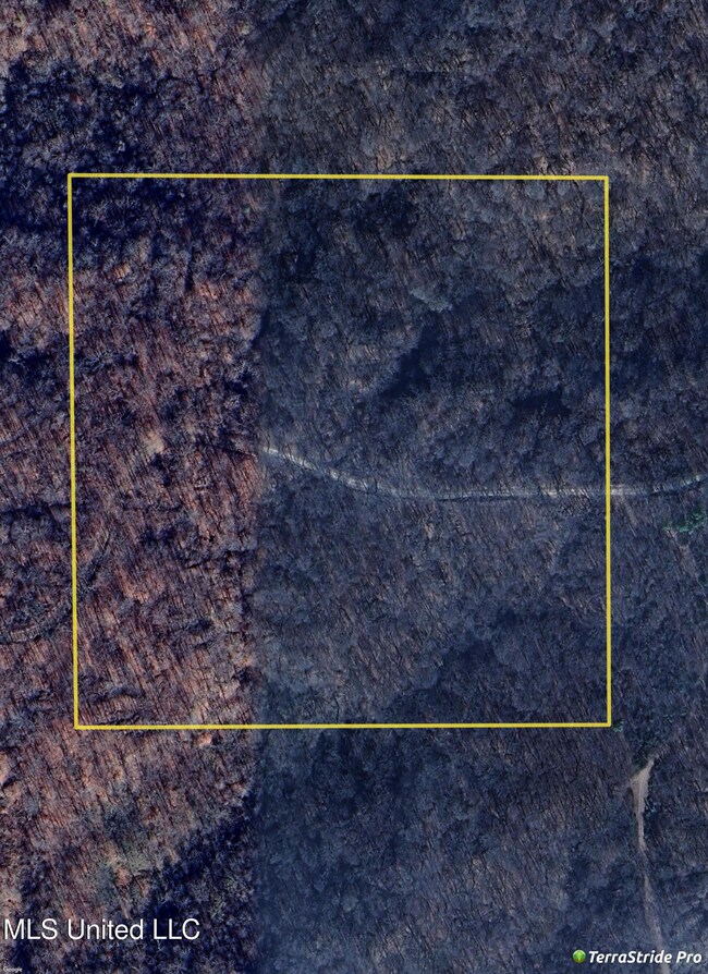 Website Aerial