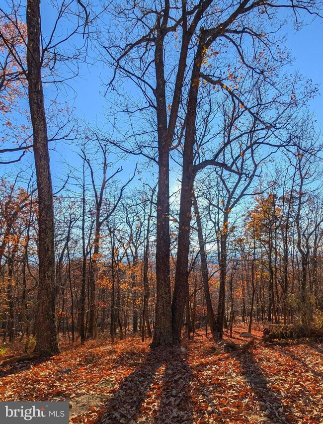 0 Parkside Dr unit WVMO2005316, Berkeley Springs, WV 25411 - photo 6