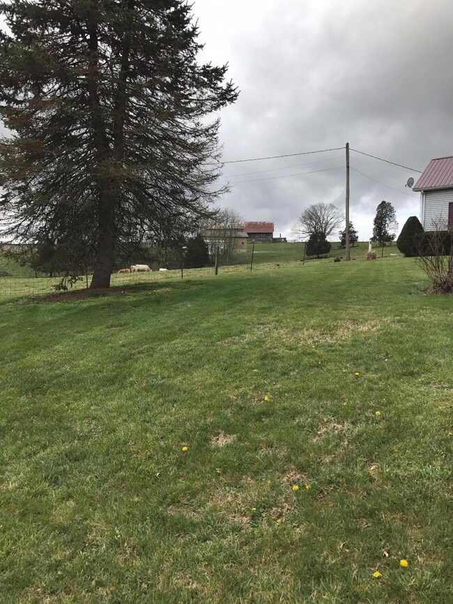 870 Glass Mill Rd, Wilmore, KY 40390 - photo 5