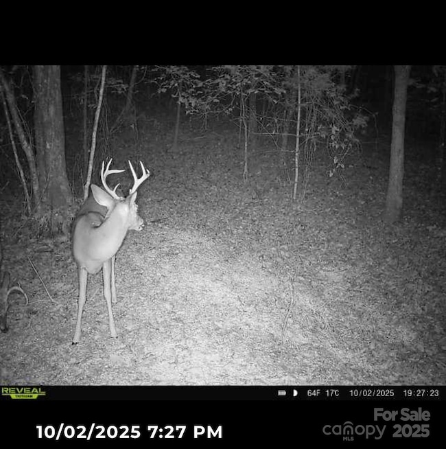 V/L Pinnacle Church Rd, Nebo, NC 28761 - photo 2