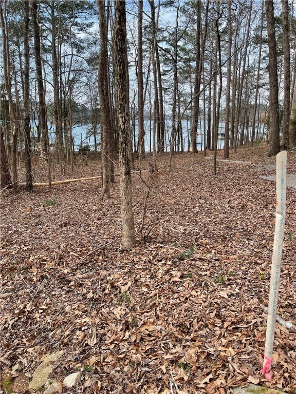 Lot 15 Overlook Dr unit 15, Fair Play, SC 29643 - photo 7