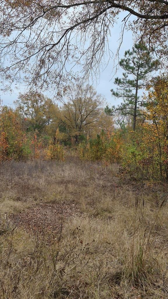 1020 Cr 2215, Detroit, TX 75436 - photo 7