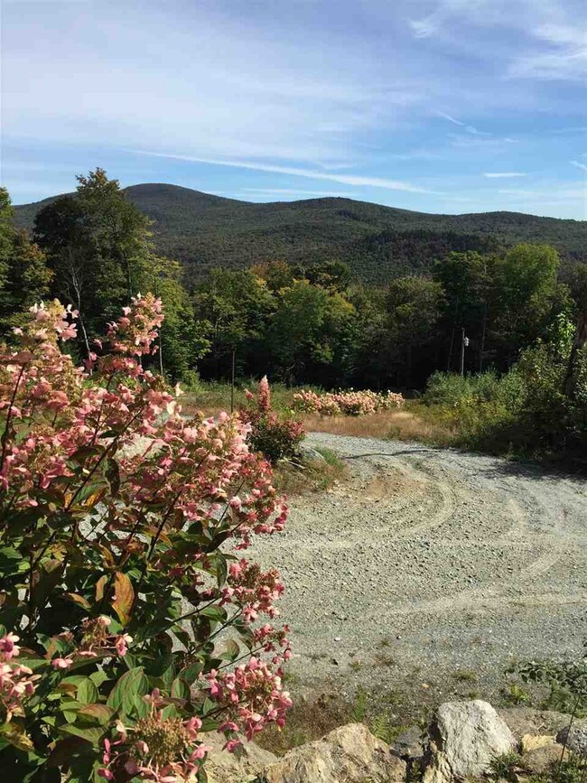 2495 Howe Pond Rd, Readsboro, VT 05350 - photo 3