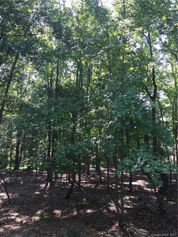 4366 Whitetail Ln unit 9, Midland, NC 28107 - photo 2