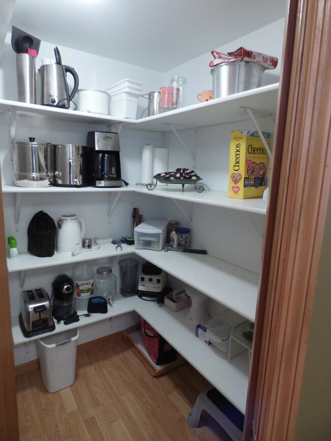 Millpond walkin pantry.JPG