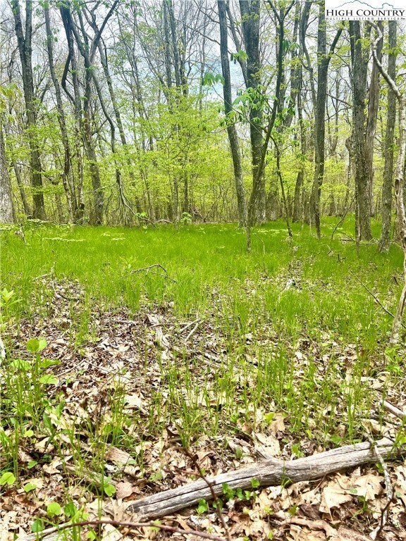 #buydirt