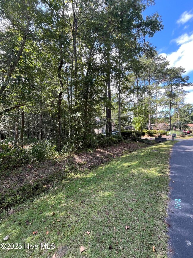 15 Oakbark Ct, Carolina Shores, NC 28467 - photo 3