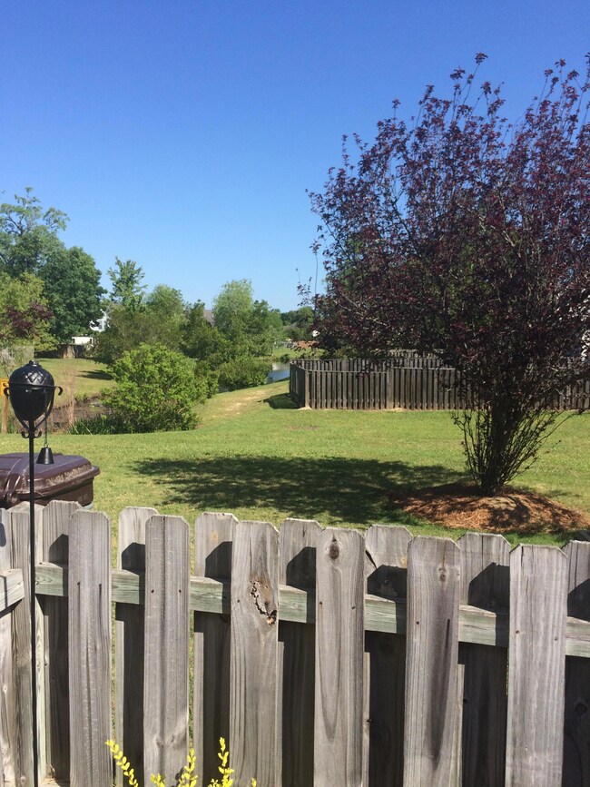 Backyard 1