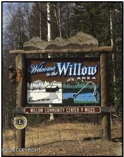 Welcome to Willow