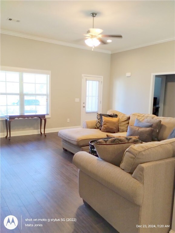 Family room additional view