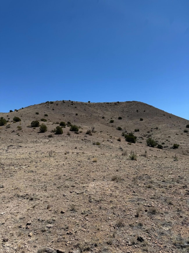 Lot 18 Willow Springs Ranch, San Antonio, NM 87832 - photo 3