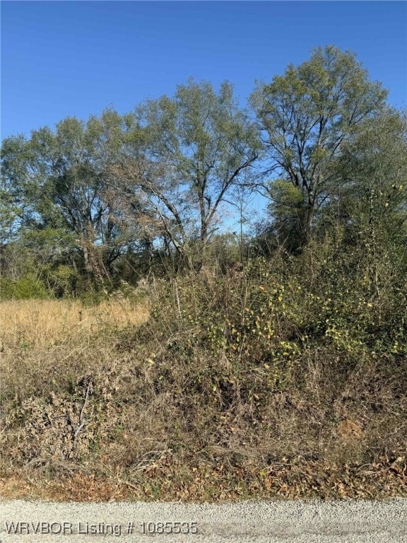 Tract 2 2nd St, Fort Coffee, OK 74959 - photo 3