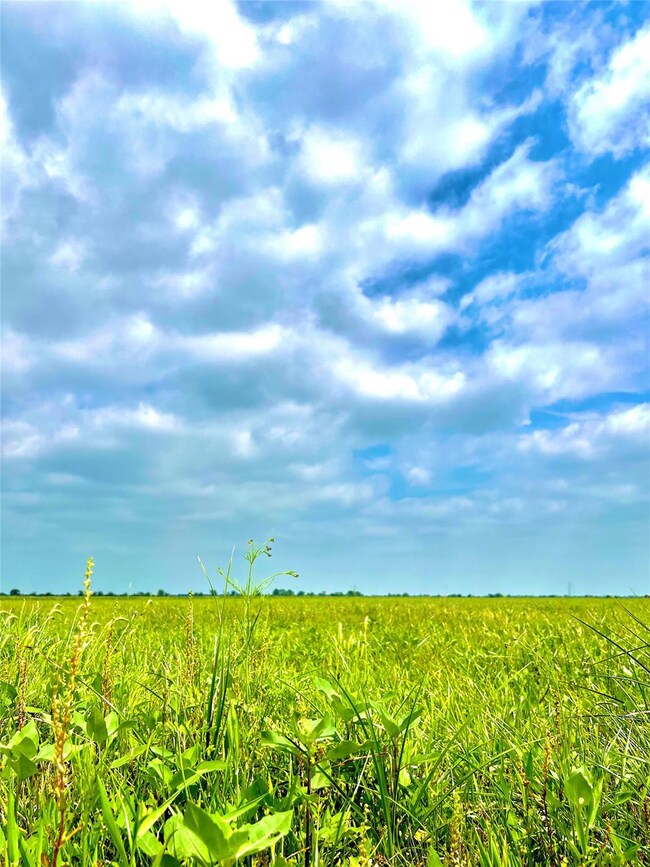 View of nature