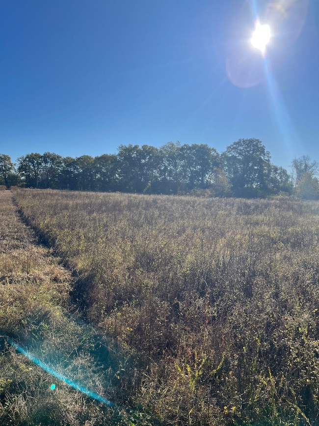 Bhl 2 Boise Cascade Rd, Bethune, SC 29009 - photo 5