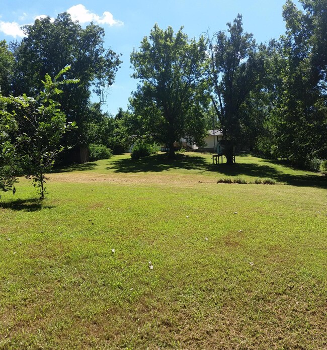 View from back yard towards home