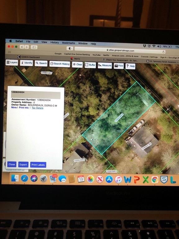 Lot is highlighted in green