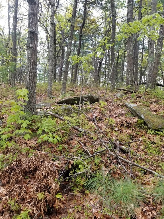 15 Forest St, Derry, NH 03038 - photo 6