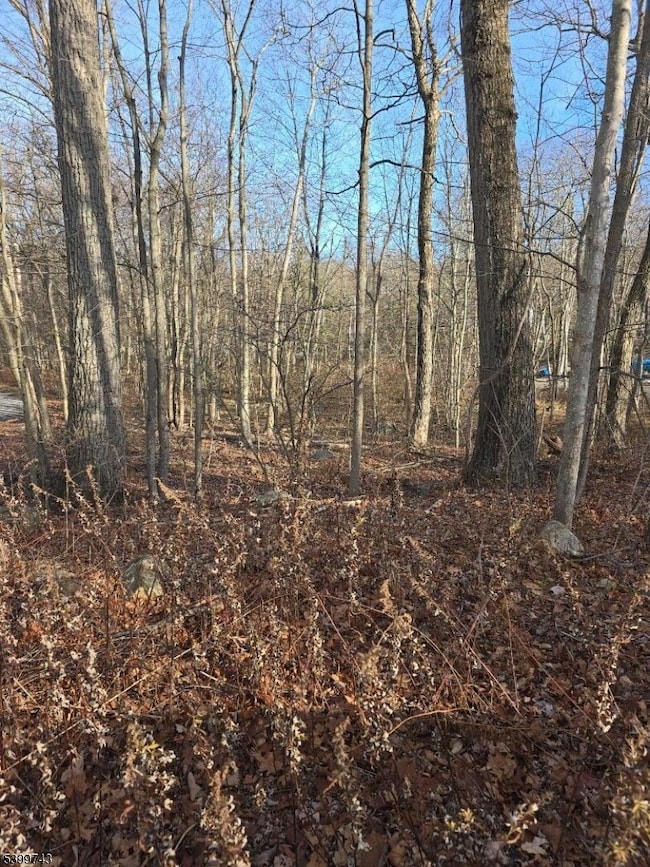 00 Linwood Rd, West Milford, NJ 07421 - photo 3