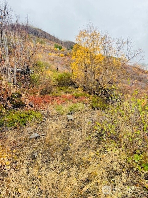 14638 US Hwy 2, Leavenworth, WA 98826 - photo 4