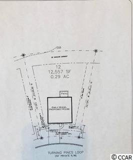 244 Turning Pines Loop unit TP 12, Myrtle Beach, SC 29579 - photo 2