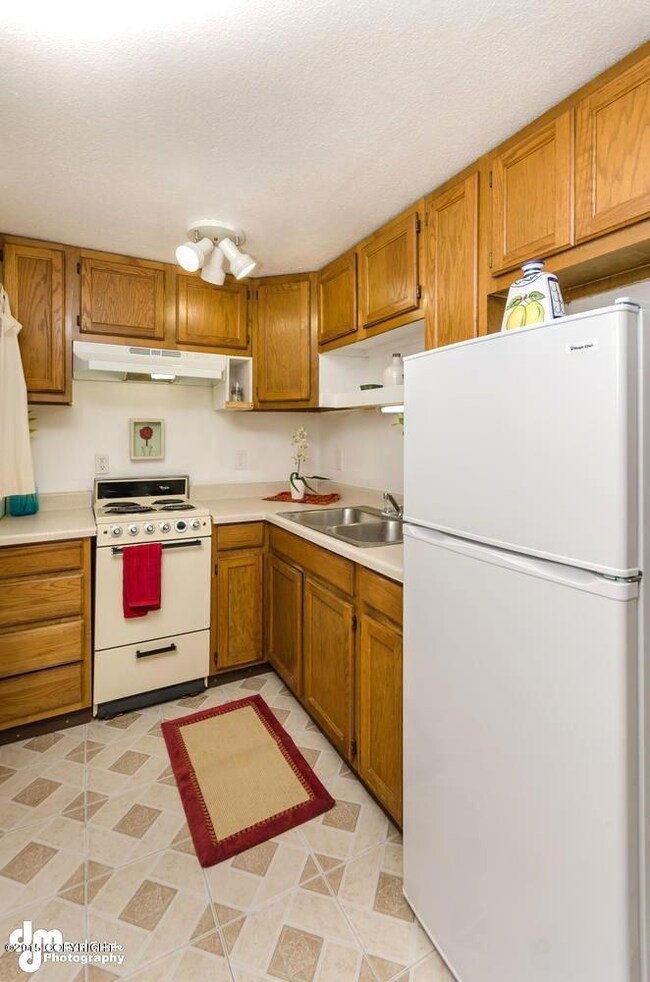 1725 Williwaw Way Wasilla AK-large-009-K