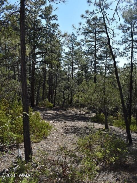 1675 S Pleasant View Dr, Show Low, AZ 85901 - photo 7