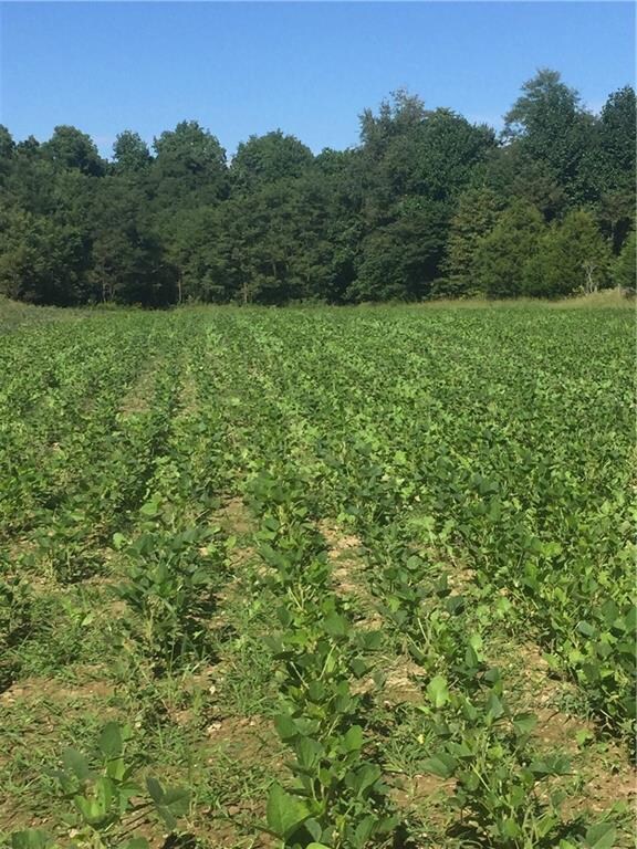 0 Barger Rd, Posey Township, IN 47024 - photo 5