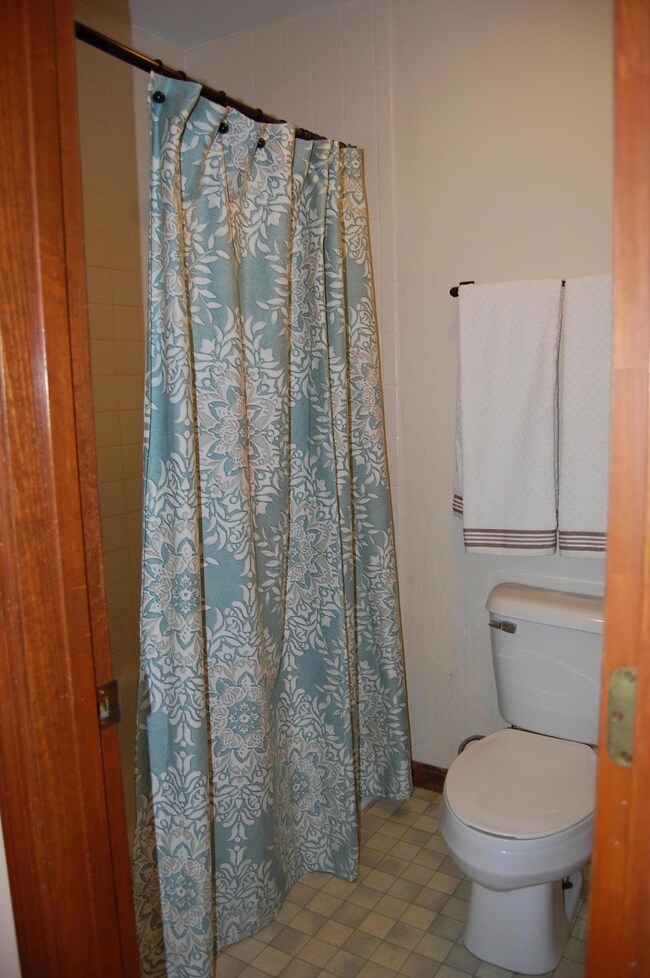 Master Bath Shower