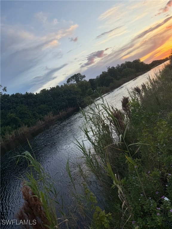 0 66th St SW unit 225071554, Central Naples, FL 34105 - photo 4