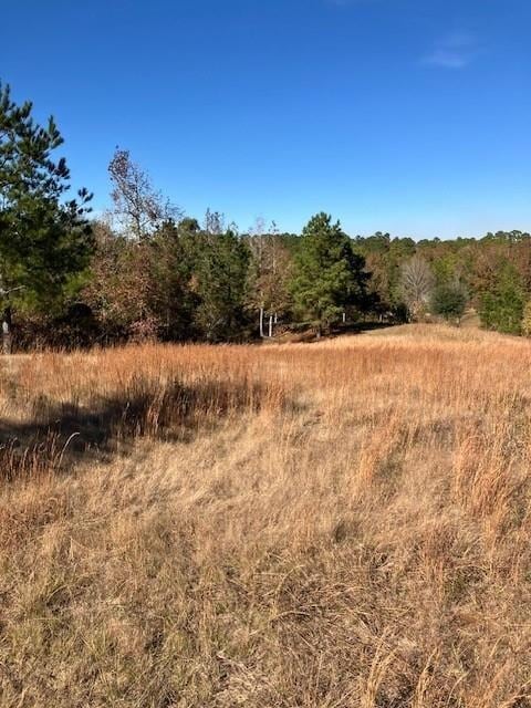 227 Collins Rd, Natchitoches, LA 71457 - photo 6