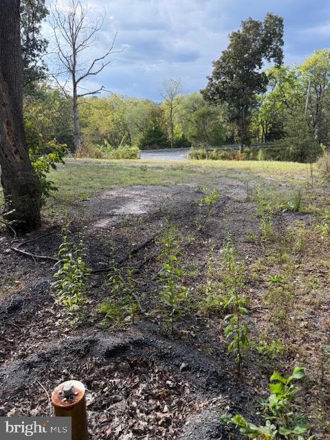 222 Siler Ln, Winchester, VA 22603 - photo 4