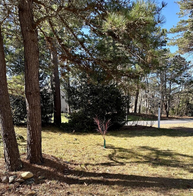 375 Ireland Way, Eastham