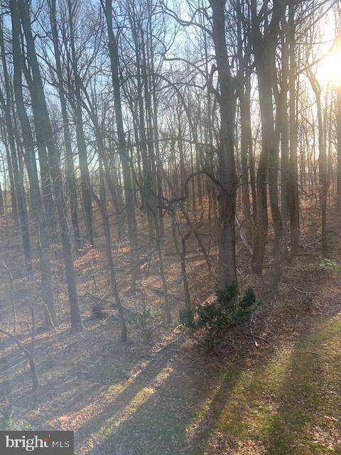 10504 E Wind Way, Columbia, MD 21044 - photo 5