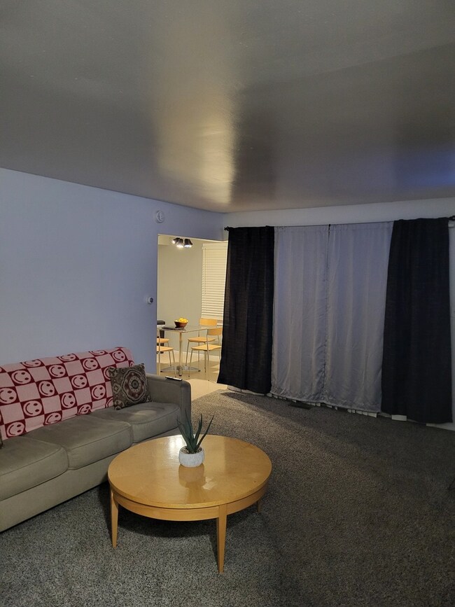 701 Spring Ct unit 6, University Park, IL 60484 - photo 5