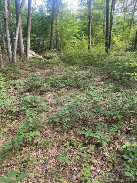 24 Costa Ln, Redding, CT 06896 - photo 5