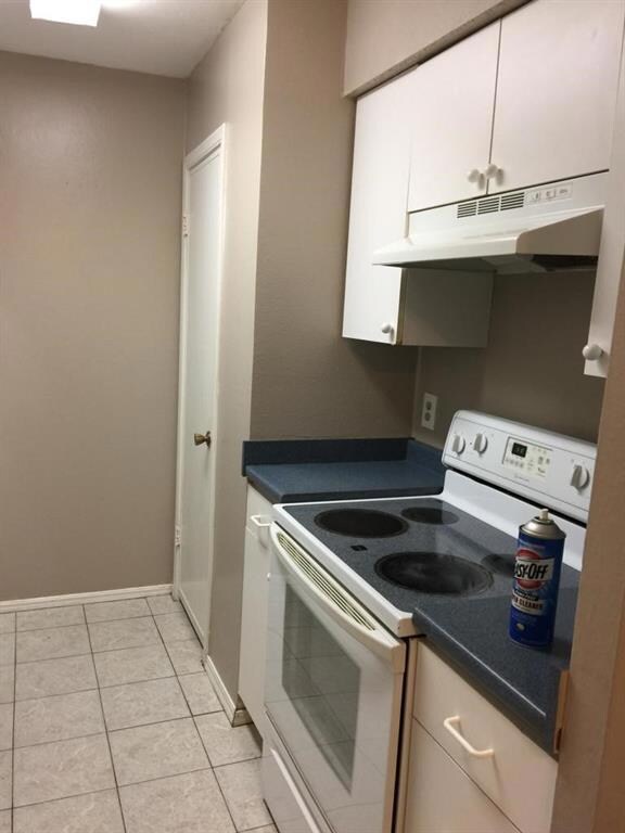 Renditions of Condo
