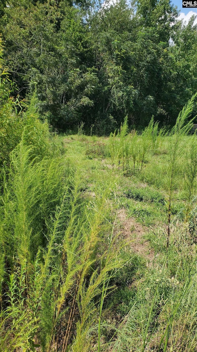 0 Ardis Rd, Pinewood, SC 29125 - photo 2