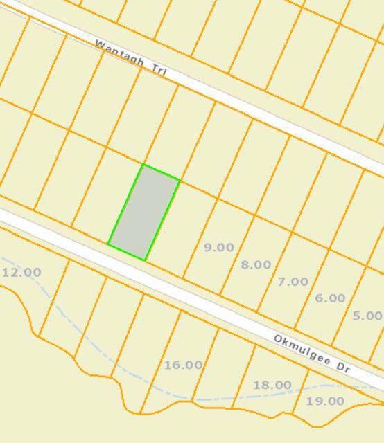 Lot 36 Okmulgee Dr unit 36, Crab Orchard, TN 37854 - photo 2