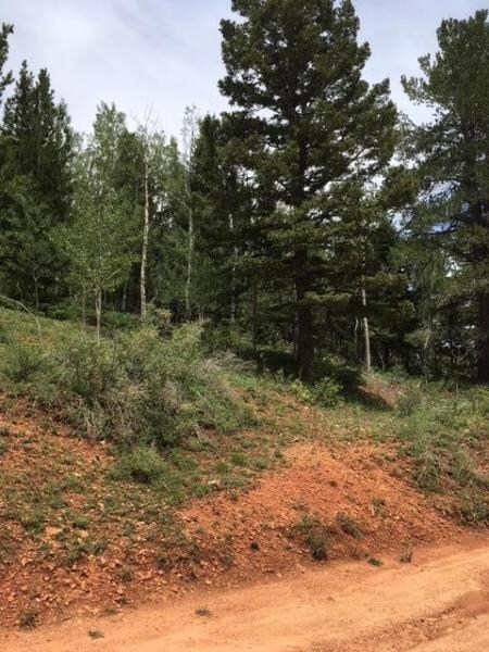 564 W Ski View Dr unit Lot 13 Blk A U C Ski, Brian Head, UT 84719 - photo 2