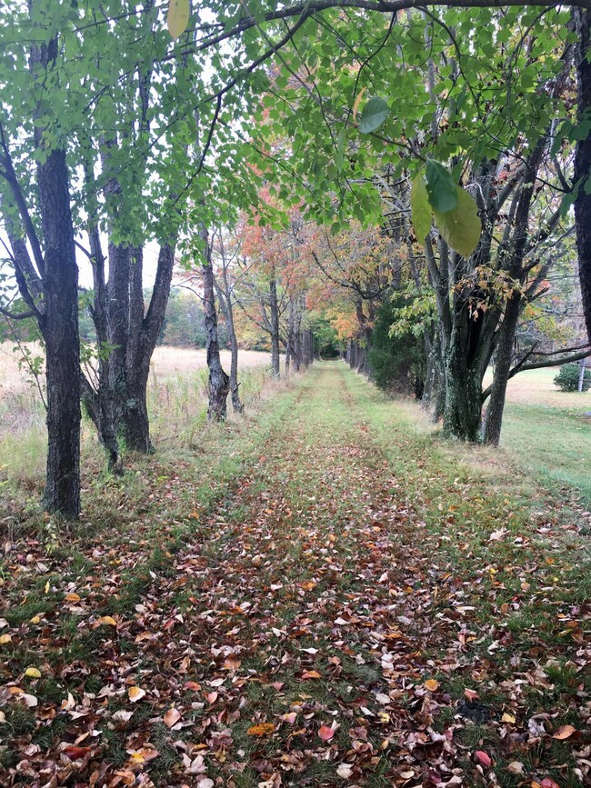 7430 Pennsylvania 36, Sigel, PA 15860 - photo 2