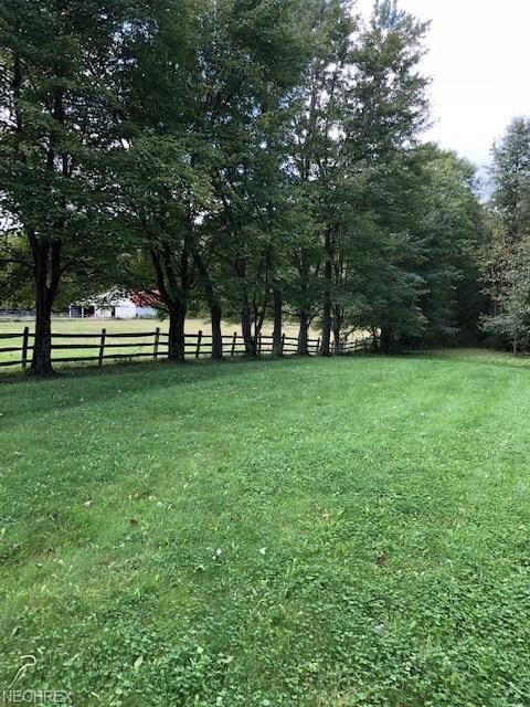 Along the neighbors fence.