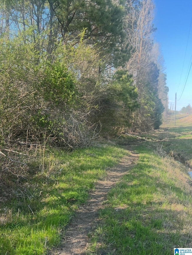 0 Alabama Highway 77 unit 42 Acres 21413831, Ohatchee, AL 36271 - photo 3