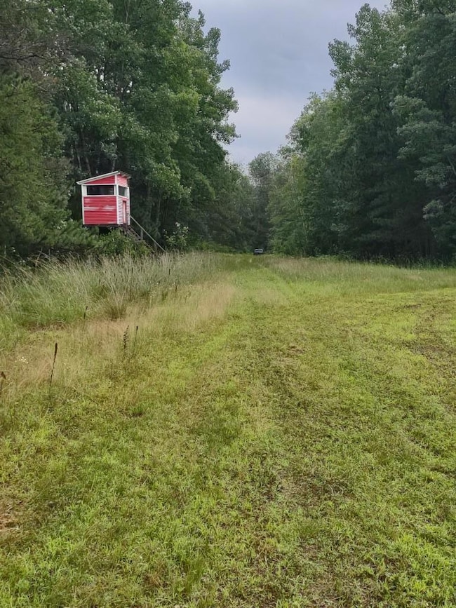 XXXX 159th Ave, Sebeka, MN 56477 - photo 2